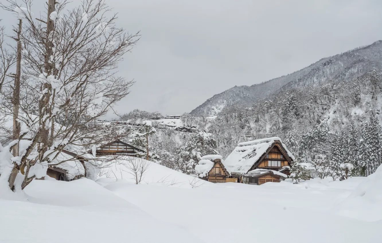 Photo wallpaper winter, snow, trees, landscape, winter, house, hut, landscape