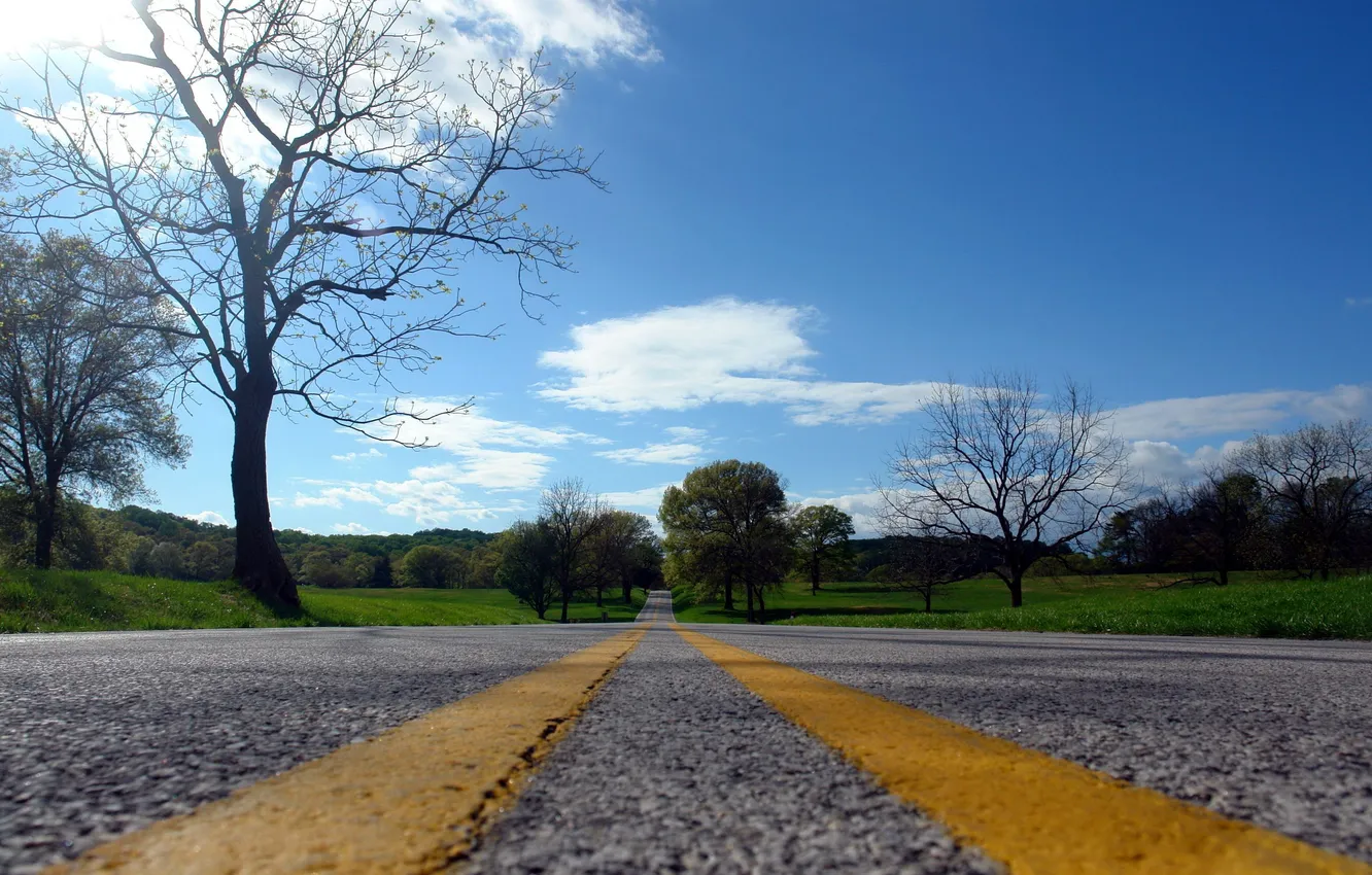 Photo wallpaper road, trees, landscape