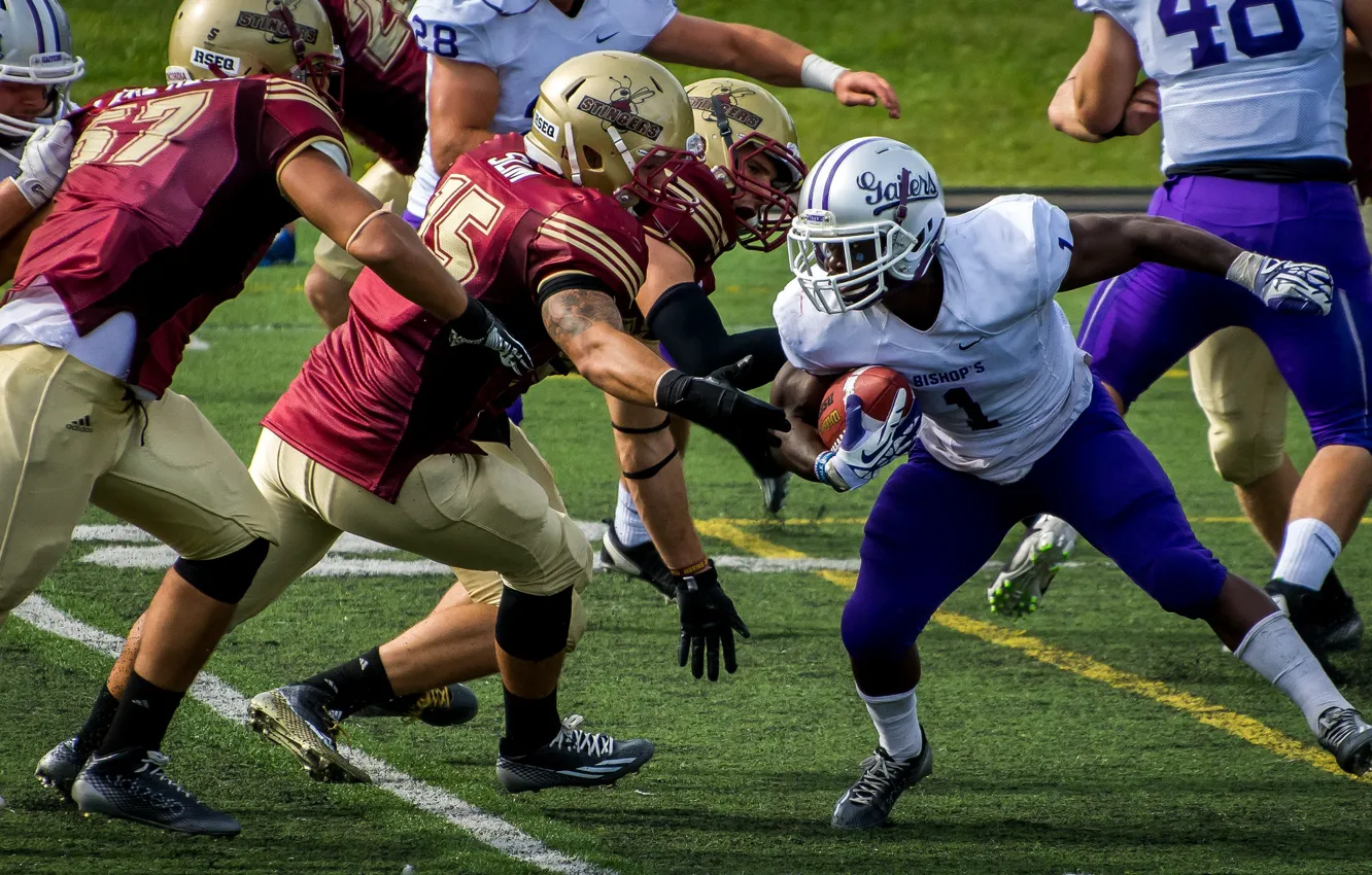 Photo wallpaper football, sport, the game