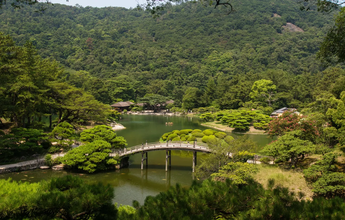 Photo wallpaper trees, landscape, bridge, nature, river, photo, Japan, garden