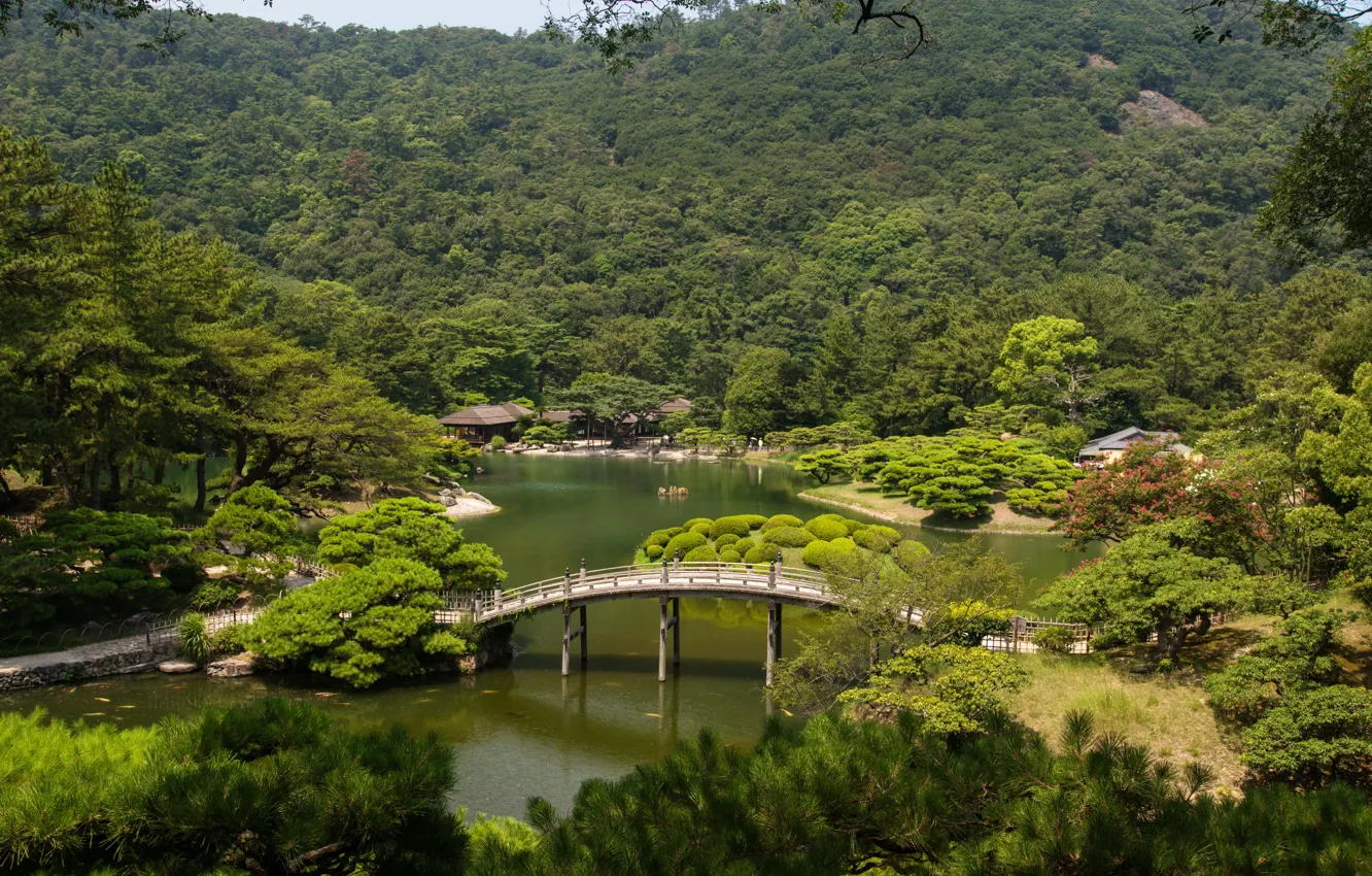 Photo wallpaper trees, landscape, bridge, nature, river, photo, Japan, gardens