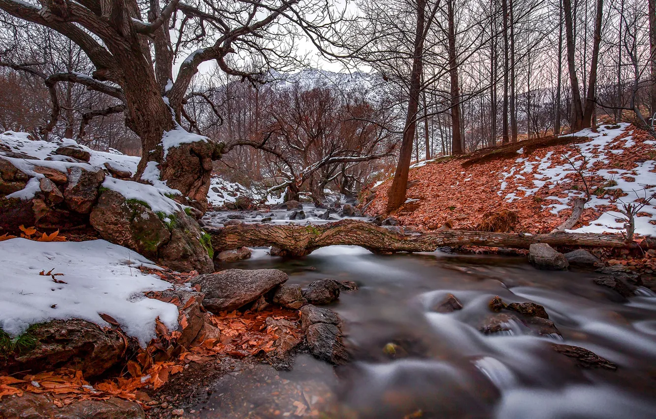 Photo wallpaper autumn, forest, leaves, snow, trees, nature, stream, stones