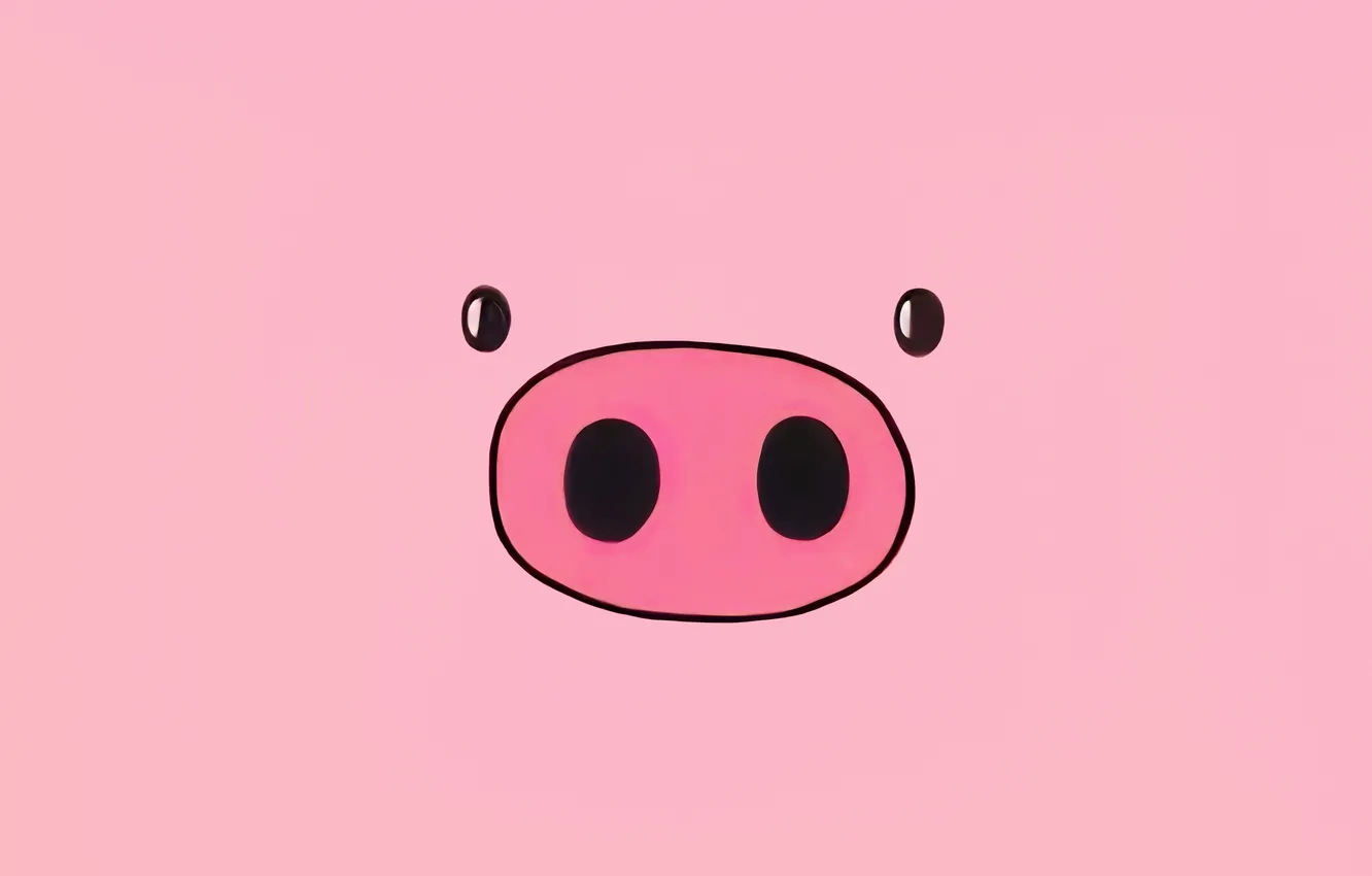 Photo wallpaper face, eyes, pig, pink, Piglet