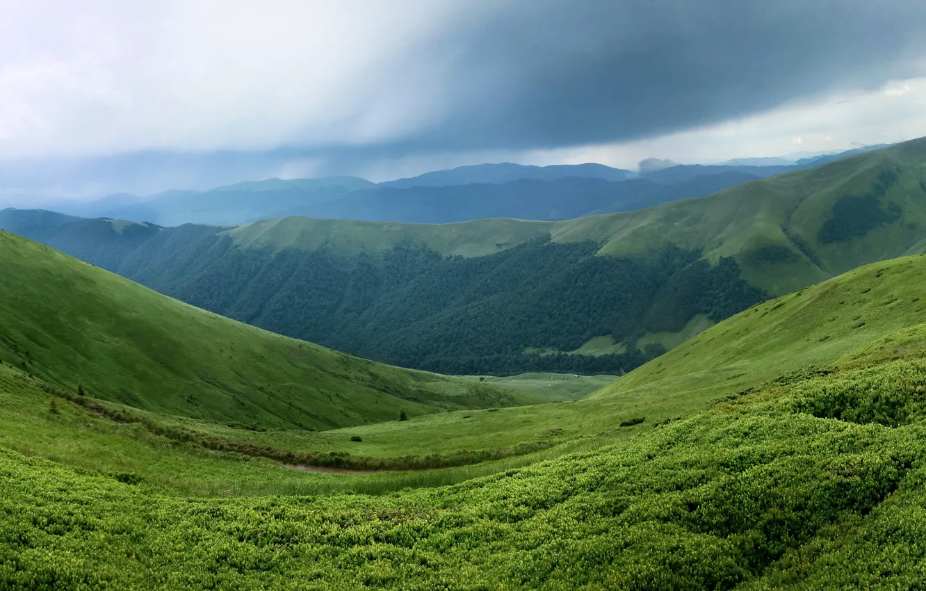 Photo wallpaper greens, forest, grass, clouds, mountains, slope, panorama, Ukraine