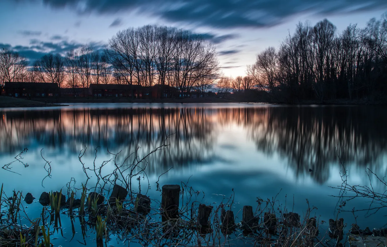 Photo wallpaper trees, lake, dawn, town, the village