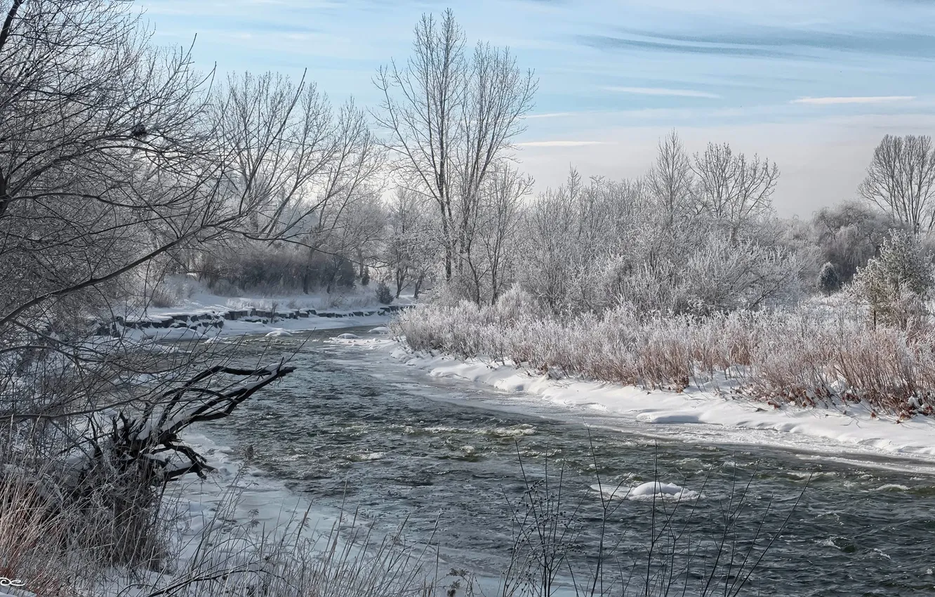 Photo wallpaper winter, the sky, clouds, snow, trees, river, home, gazebo