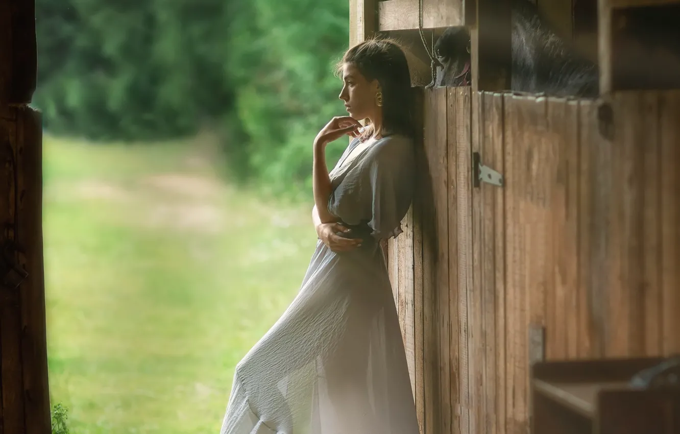 Photo wallpaper girl, pose, horse, dress, bokeh, Anastasia Barmina