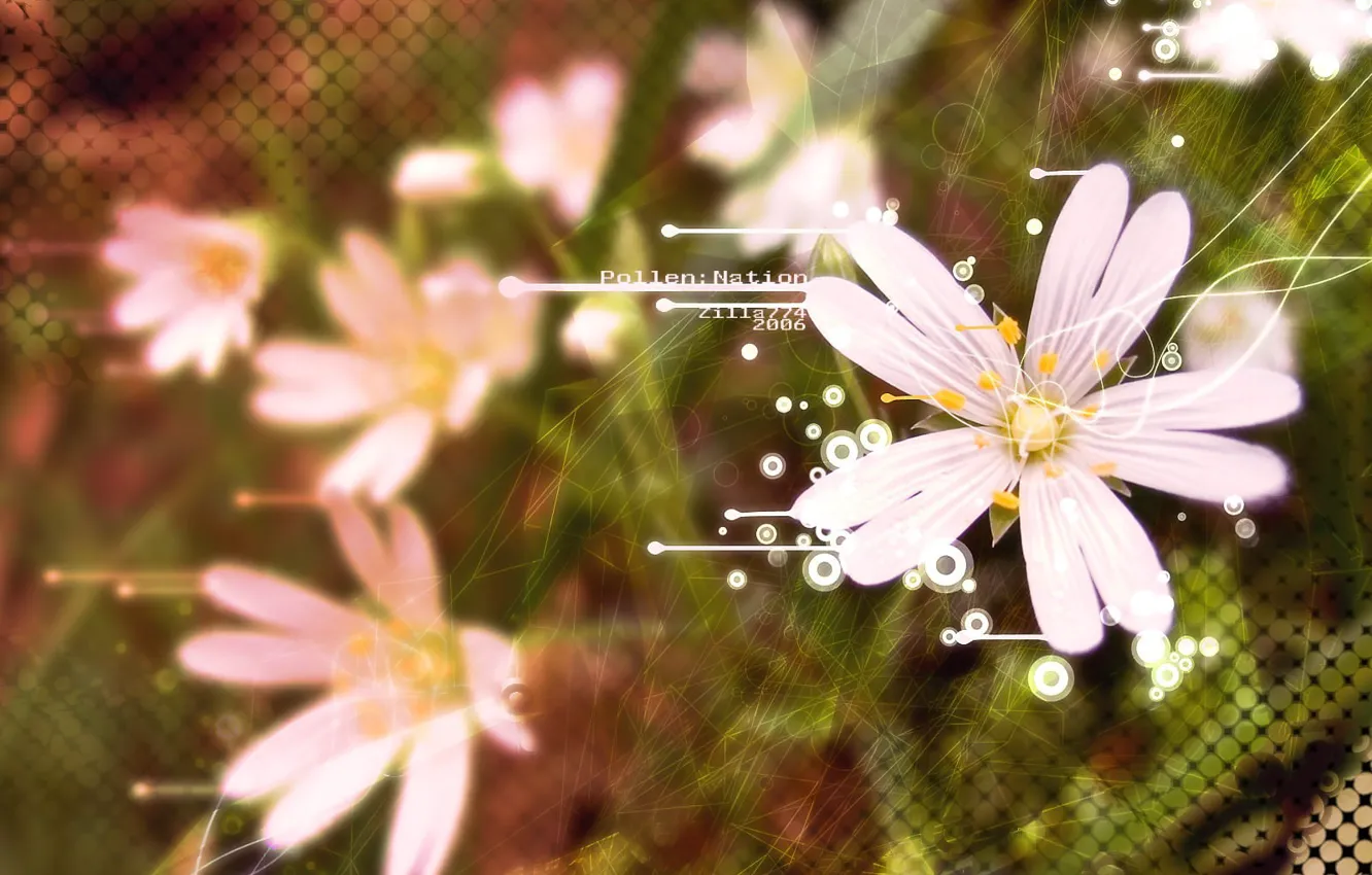 Photo wallpaper mesh, treatment, Flower