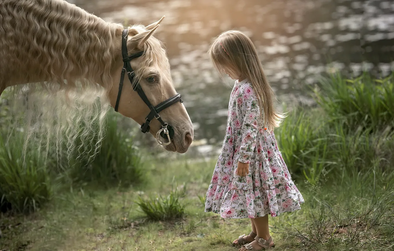 Photo wallpaper summer, horse, girl