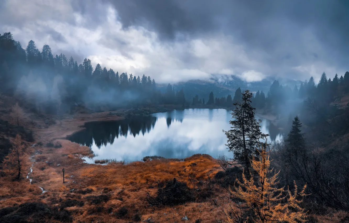 Photo wallpaper forest, nature, fog, lake