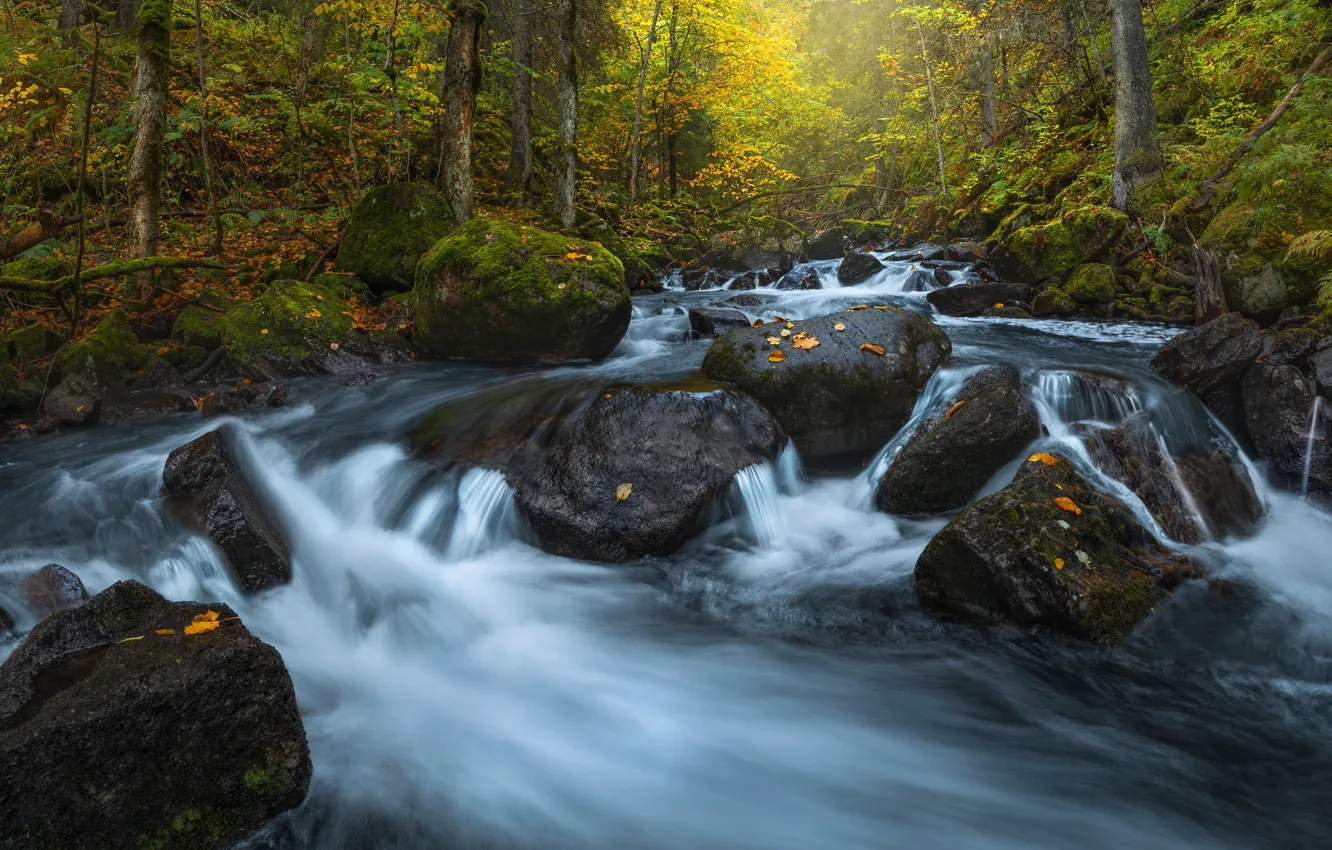 Photo wallpaper autumn, forest, river, stones, Norway, cascade, Norway, Lier