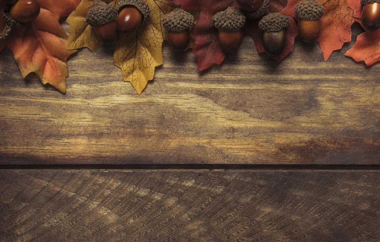 Photo wallpaper autumn, leaves, background, tree, colorful, Board, wood, acorns