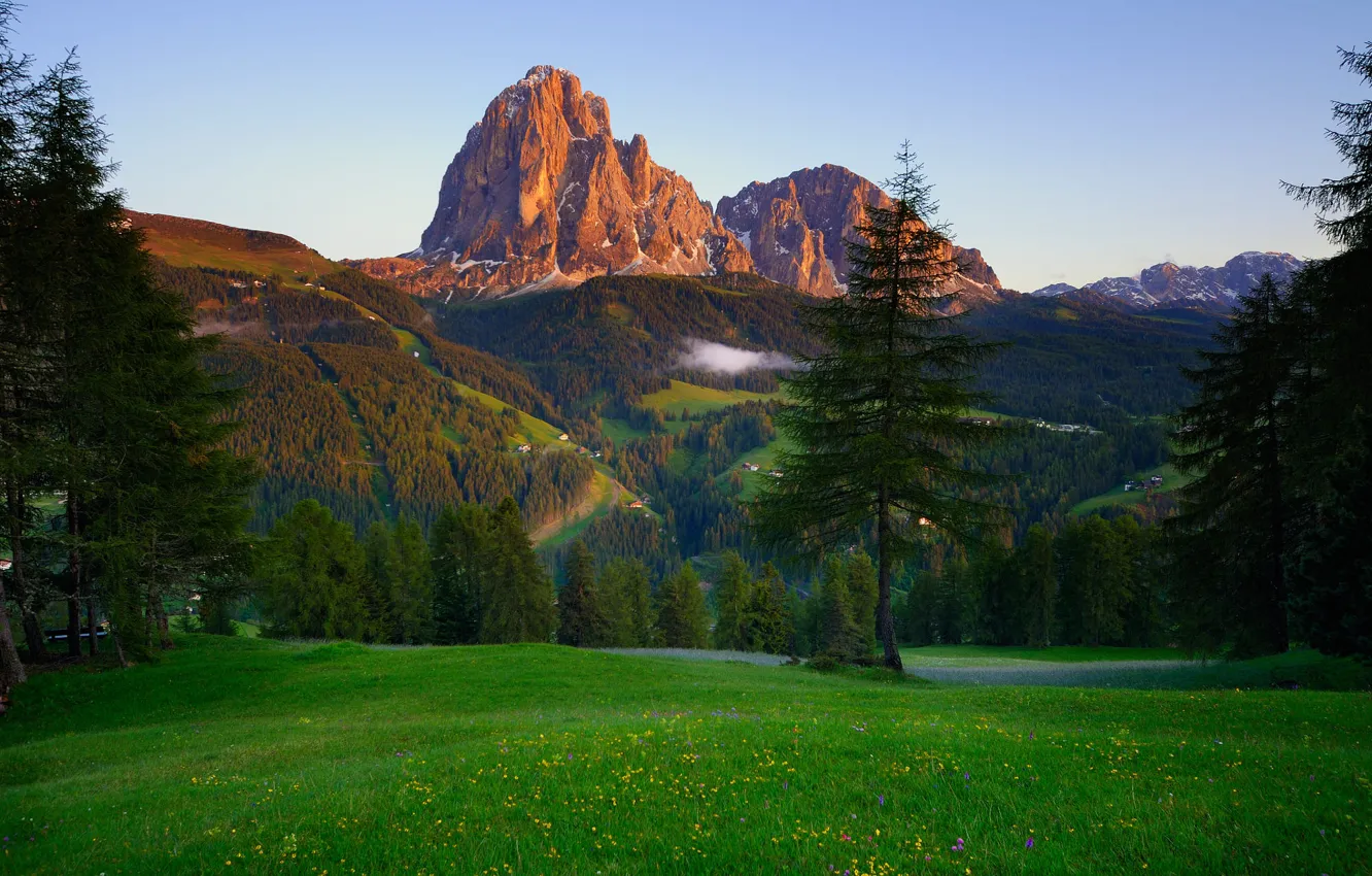 Photo wallpaper forest, trees, landscape, sunset, mountains, nature, fog, meadow