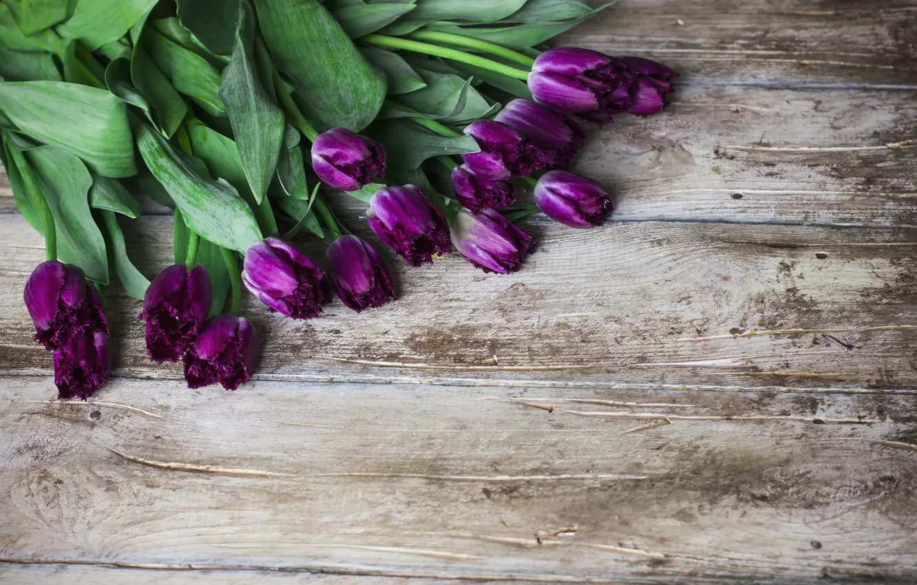 Photo wallpaper purple, flowers, bouquet, tulips, wood, flowers, tulips, purple