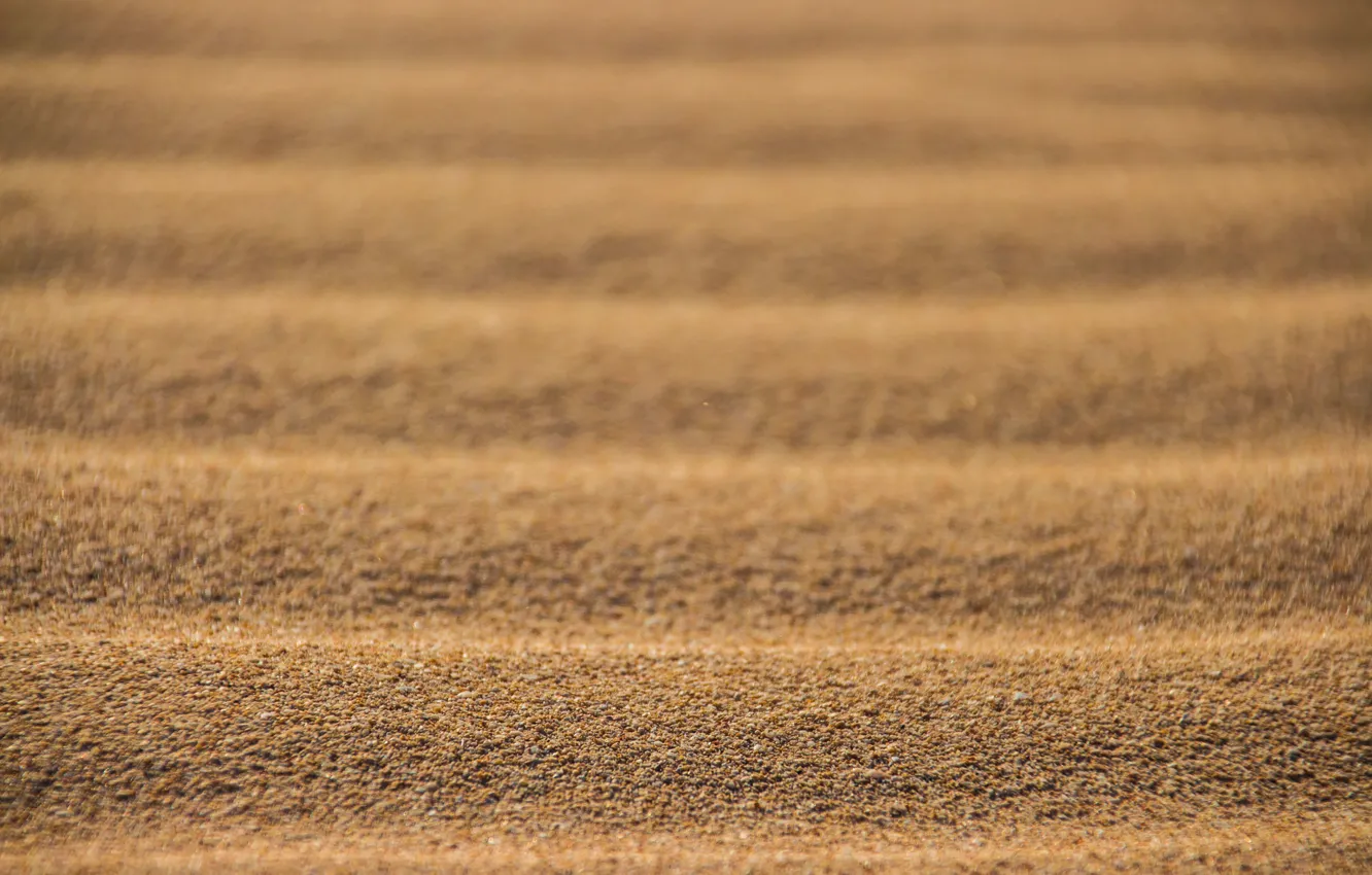 Photo wallpaper sand, desert, texture