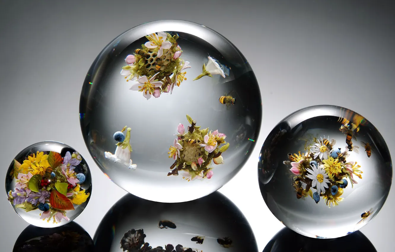 Photo wallpaper flowers, bee, balls, cell