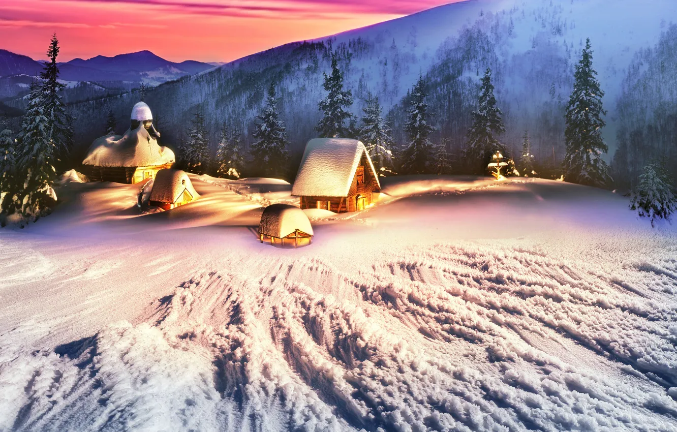 Photo wallpaper Nature, Home, Winter, Mountains, Snow, Spruce, Ukraine, Carpathians