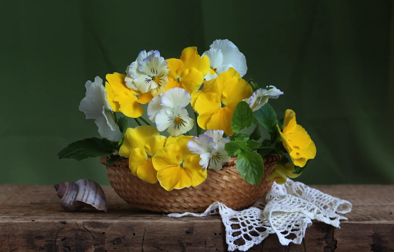 Photo wallpaper shell, Pansy, viola