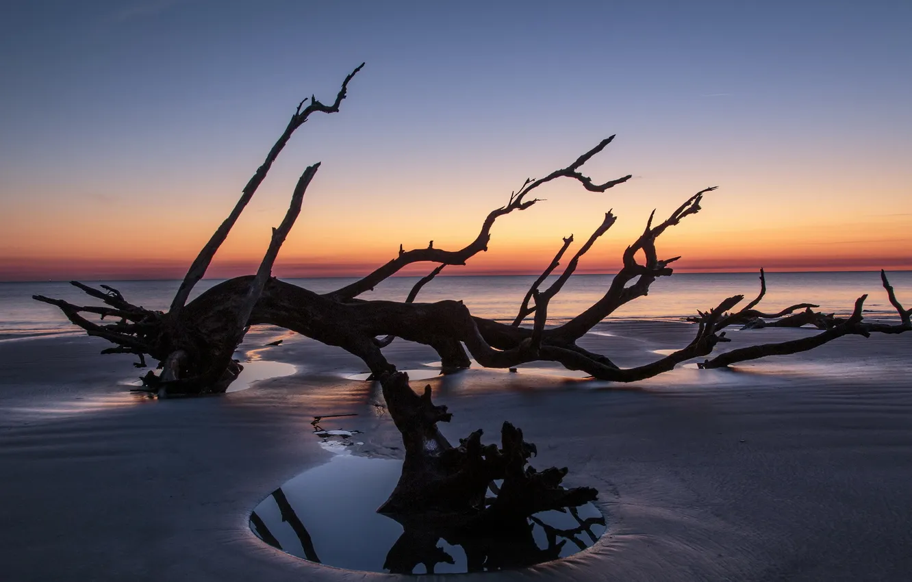 Photo wallpaper sea, landscape, sunset, Georgia, Jekyll Island