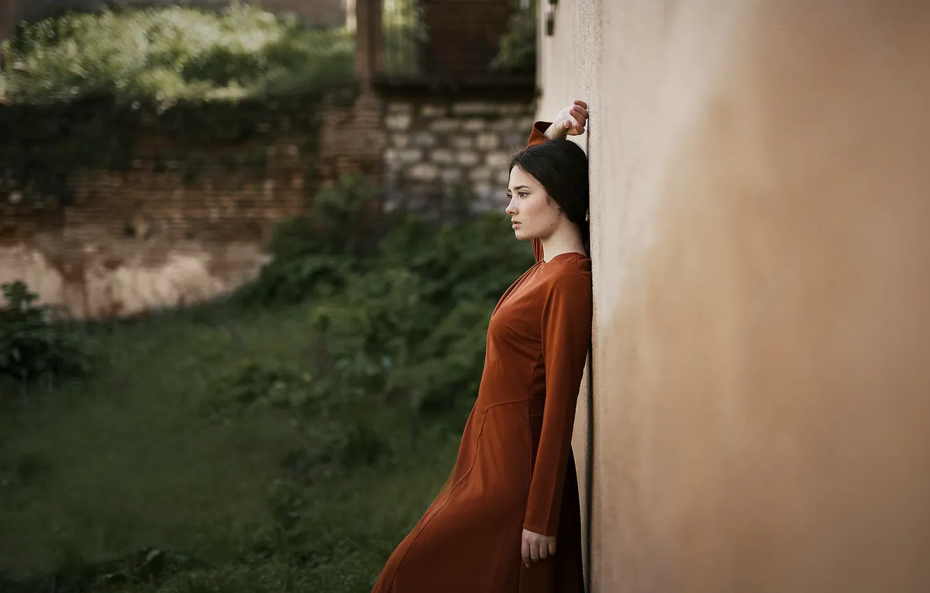 Photo wallpaper girl, face, background, dress, profile