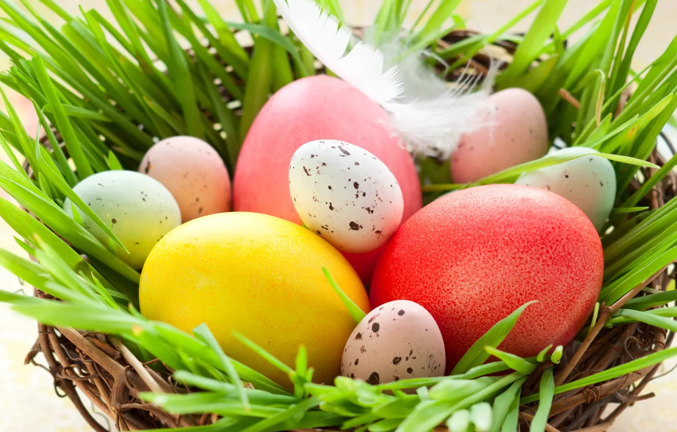 Photo wallpaper grass, holiday, eggs, spring, feathers, Easter, socket, Easter