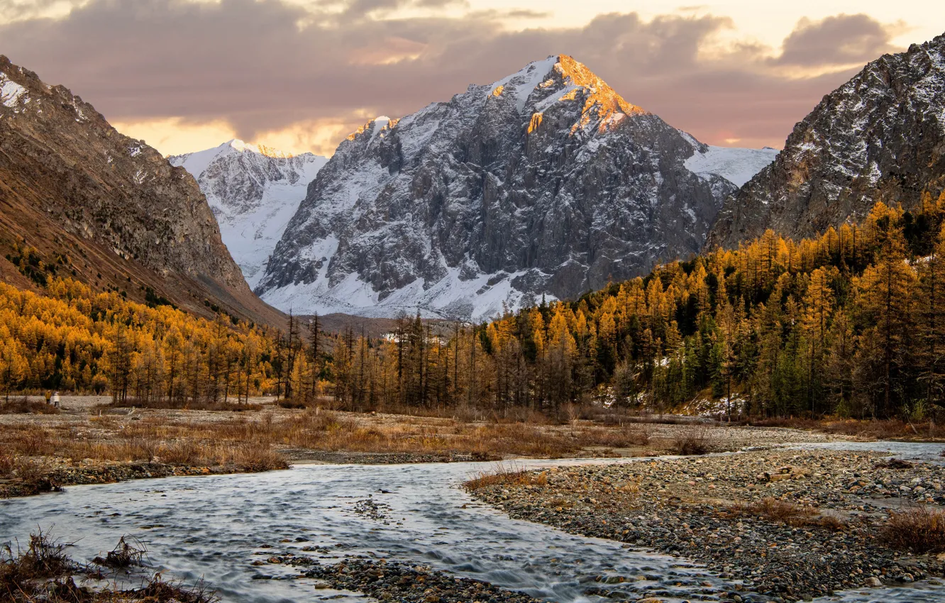 Photo wallpaper autumn, forest, mountains, slope