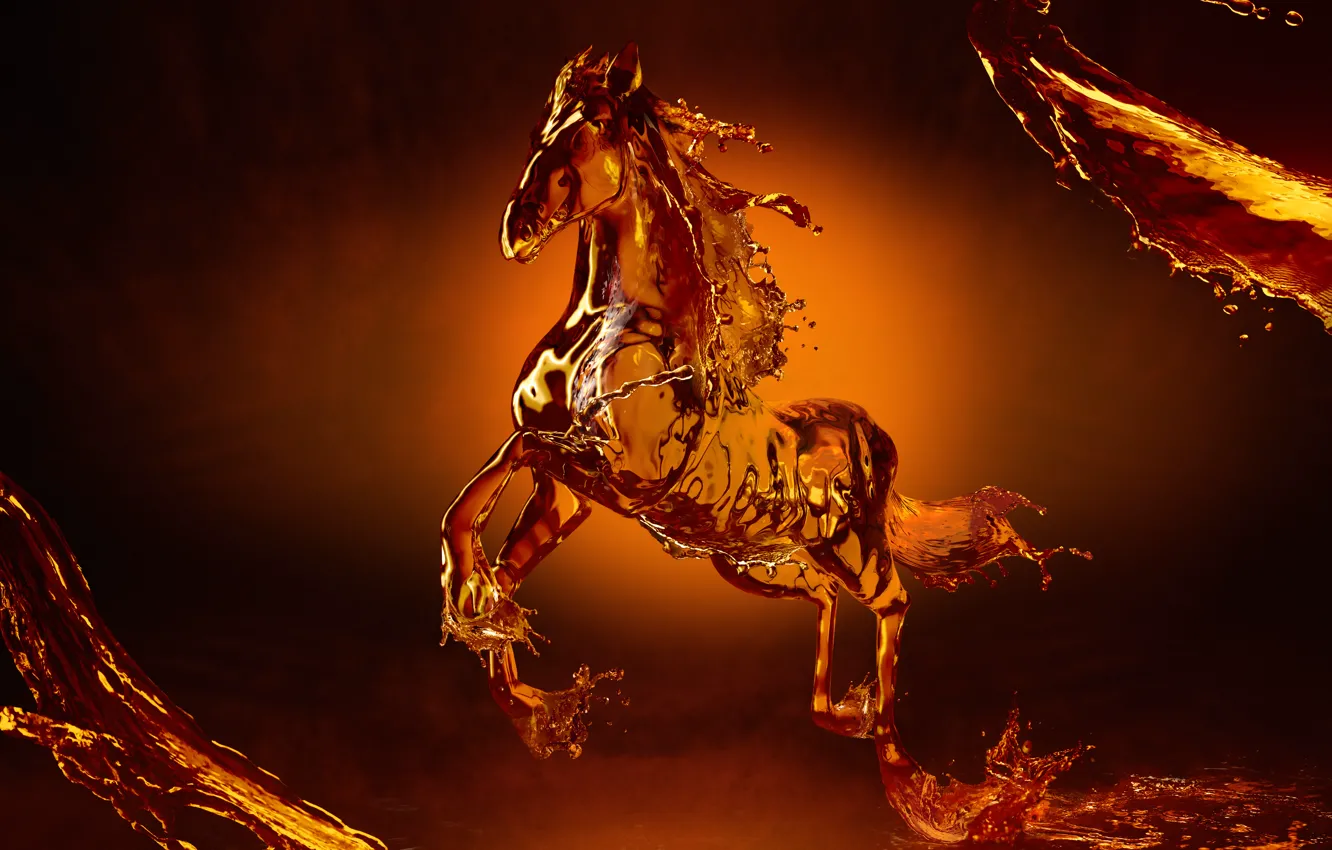 Photo wallpaper water, horse, horse