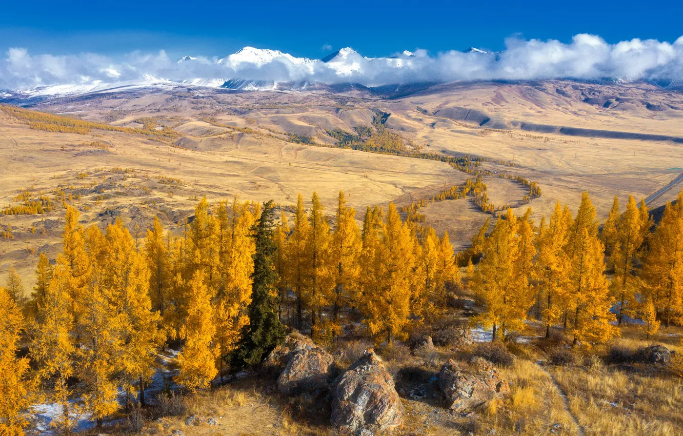 Photo wallpaper autumn, forest, mountains