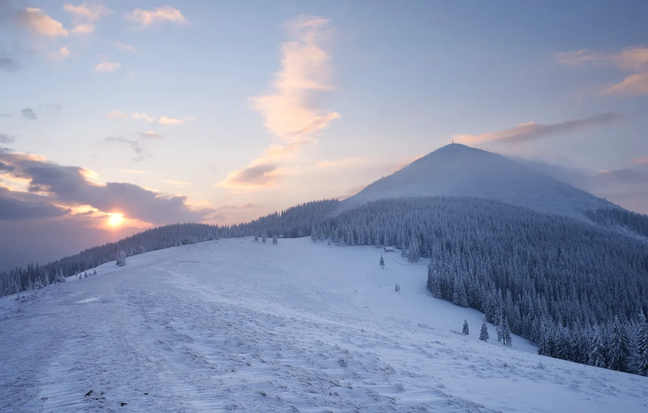 Photo wallpaper winter, forest, the sky, the sun, clouds, rays, snow, landscape