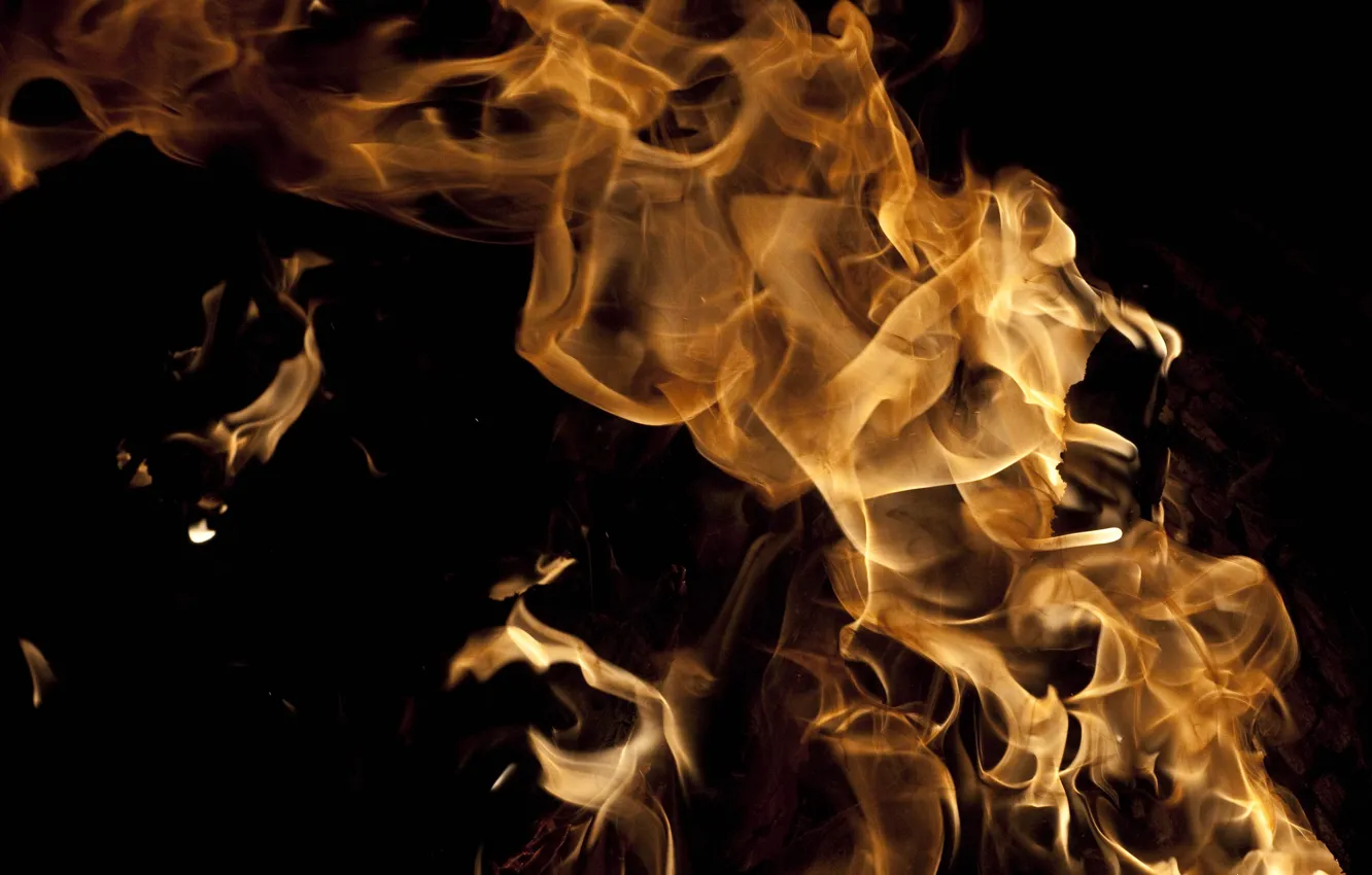 Photo wallpaper macro, night, close-up, lights, the fire