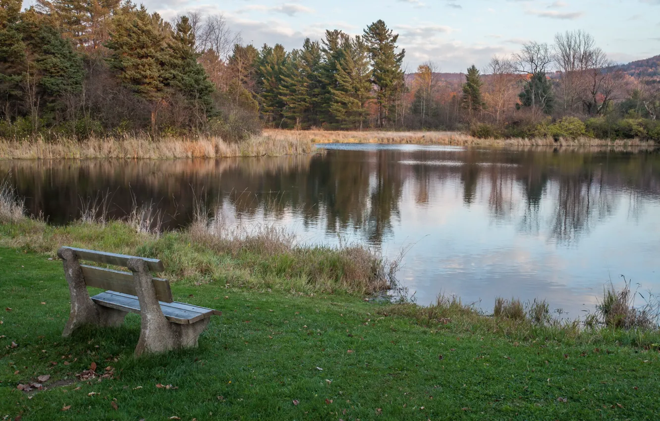 Photo wallpaper nature, lake, bench