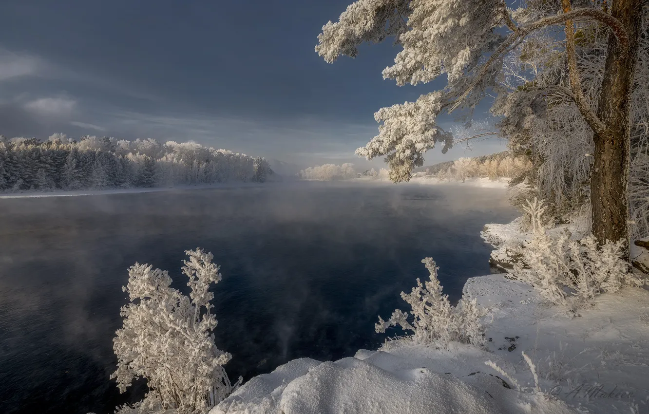 Photo wallpaper winter, frost, snow, trees, landscape, nature, river, frost