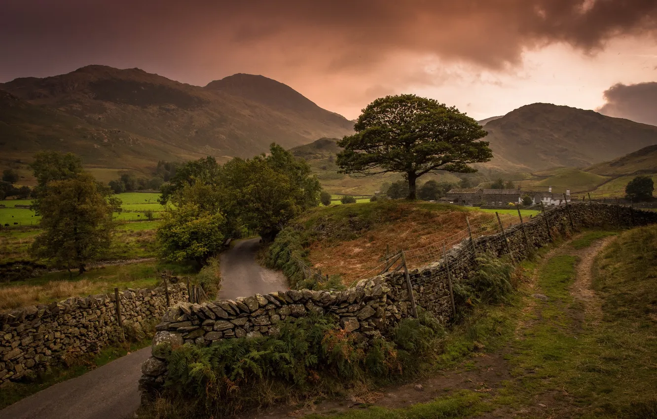 Photo wallpaper road, trees, mountains, clouds, the fence, England