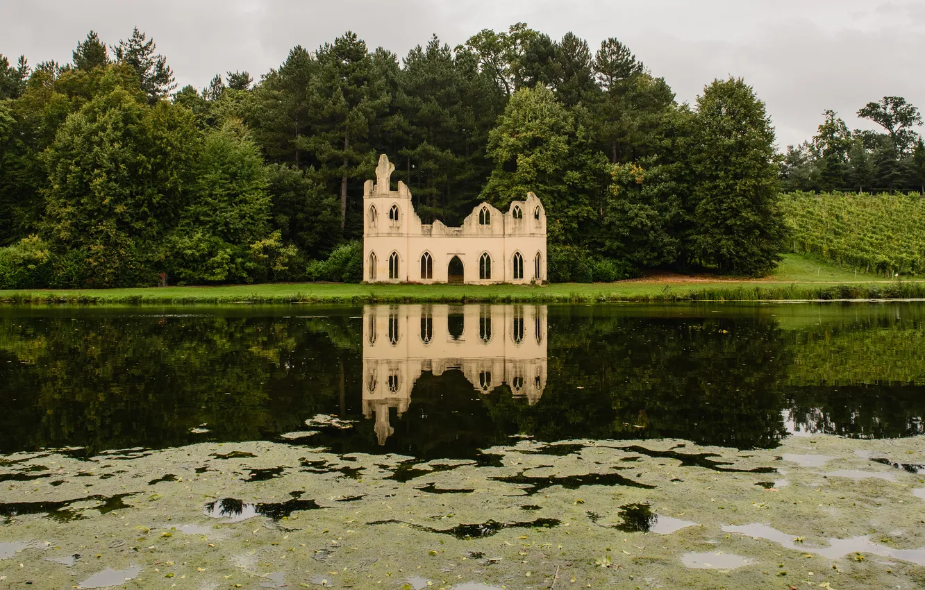 Photo wallpaper grass, trees, the ruins, pond. shore