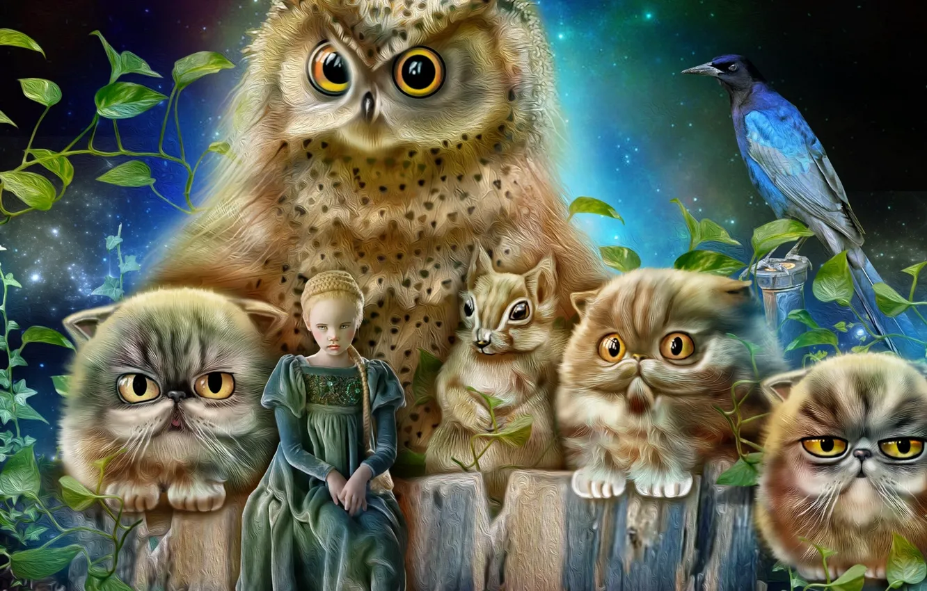 Photo wallpaper owl, bird, cats, protein, girl, Princess