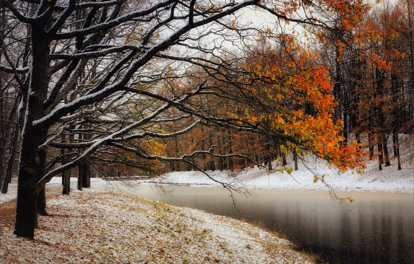 Photo wallpaper autumn, nature, river