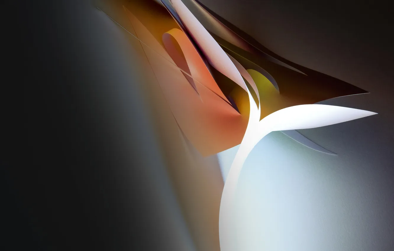 Photo wallpaper white, line, orange, abstraction, paper, shadow, cardboard, grey background