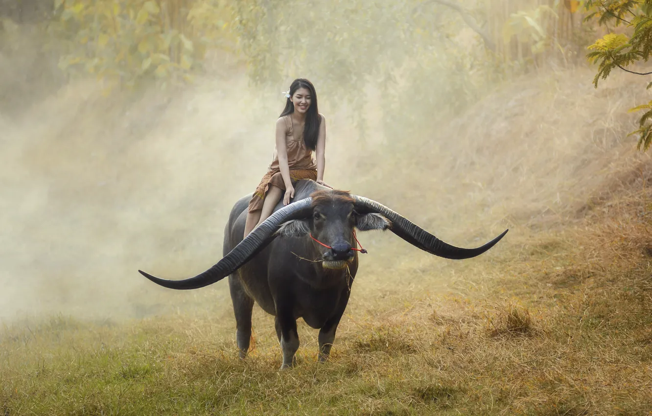 Photo wallpaper girl, mood, Thailand, Asian, rider, Thailand, Buffalo