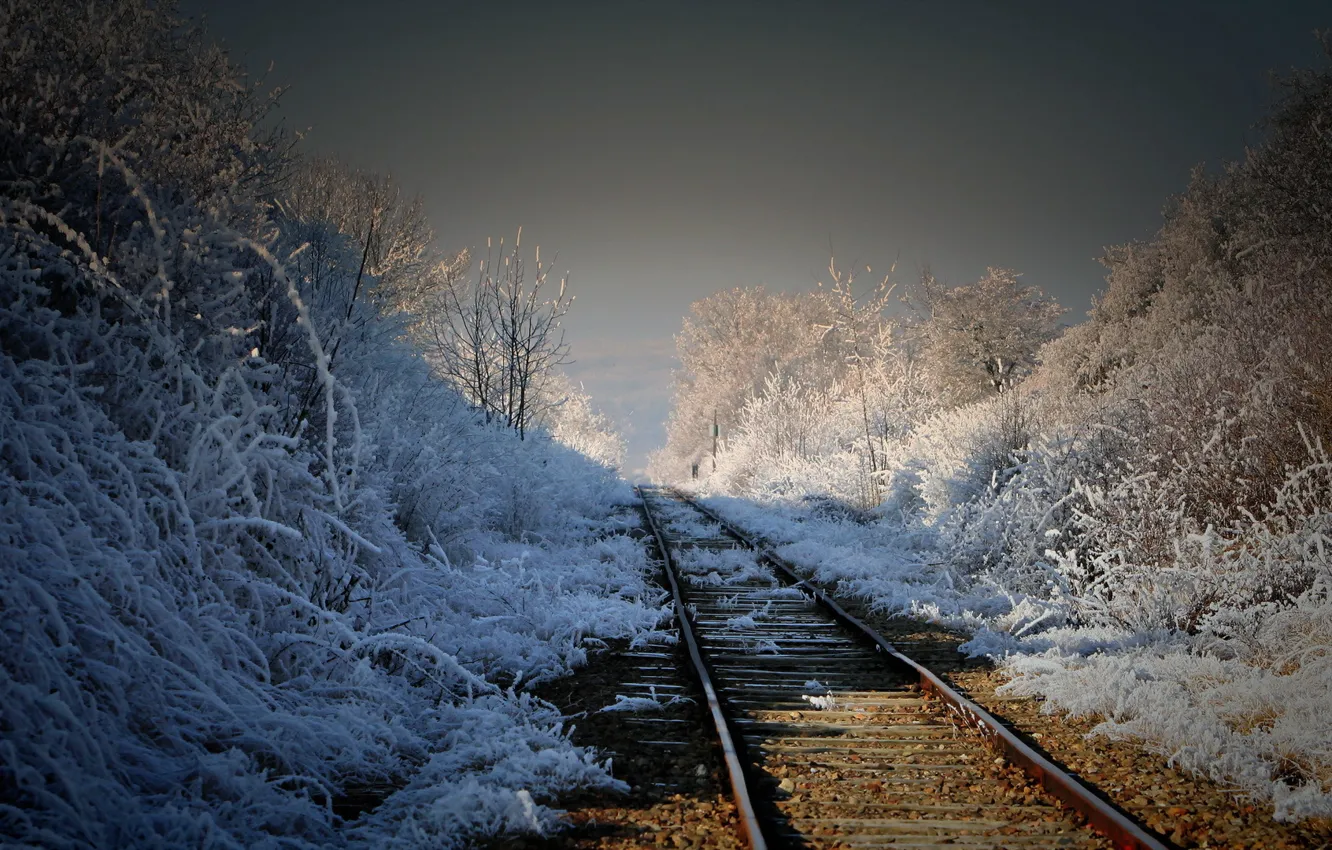 Photo wallpaper landscape, nature, morning, railroad