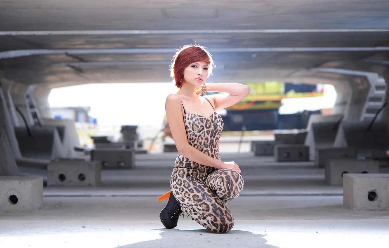 Photo wallpaper girl, background, Asian