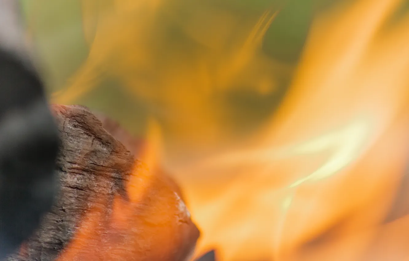 Photo wallpaper macro, lights, flame, embers, Custer