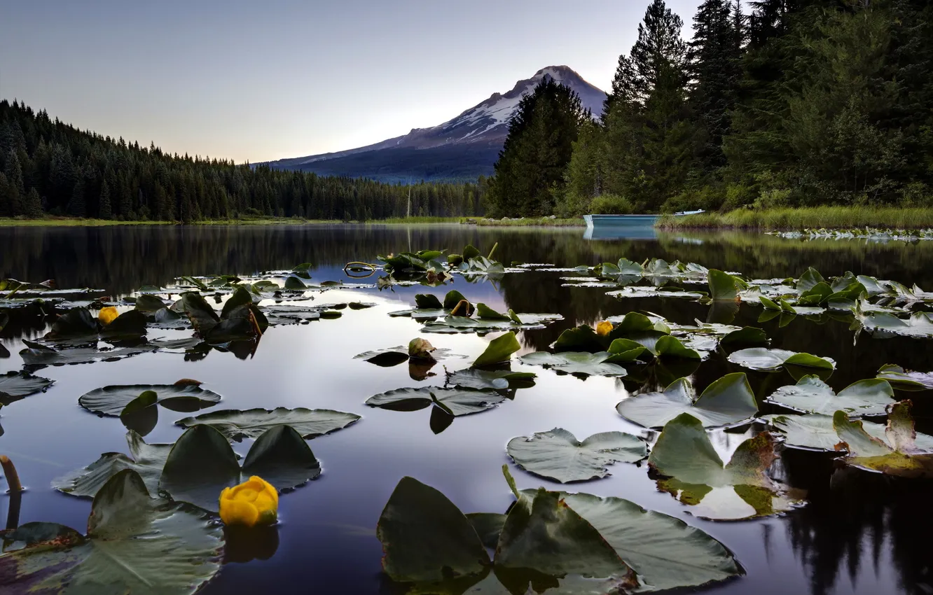 Photo wallpaper landscape, mountains, nature, lake, Lily