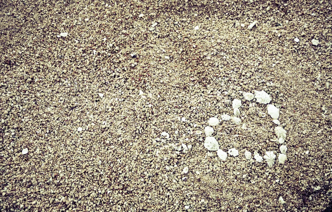 Photo wallpaper pebbles, heart, shell, photo, photographer, markus spiske