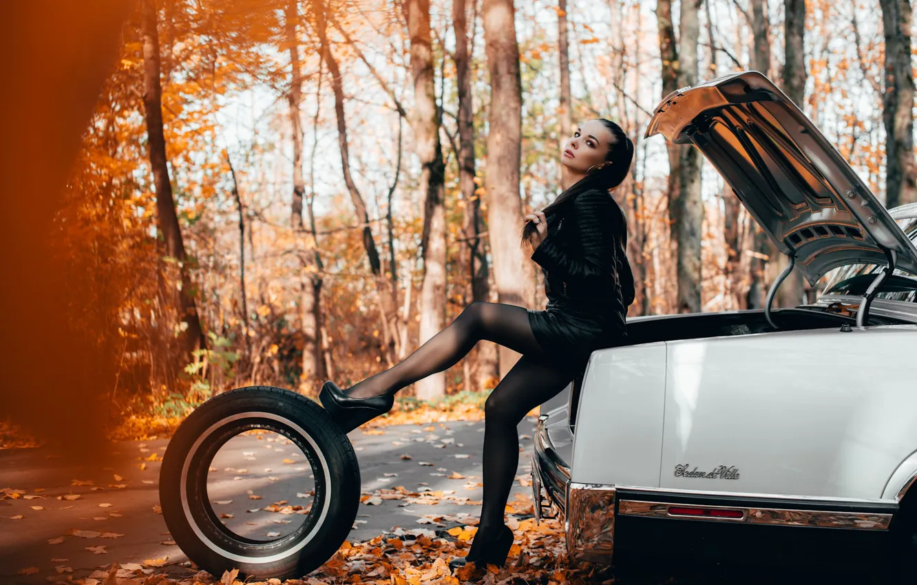 Photo wallpaper road, machine, autumn, forest, stockings, tires, shoes, the trunk