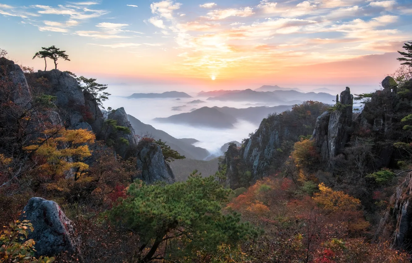 Photo wallpaper autumn, trees, mountains, fog, valley