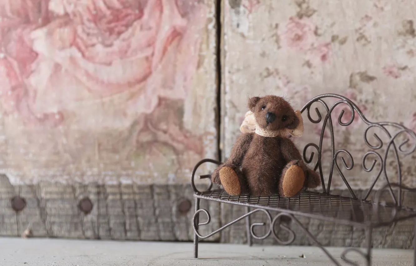 Photo wallpaper bench, mood, toy, shop, bear, Teddy bear
