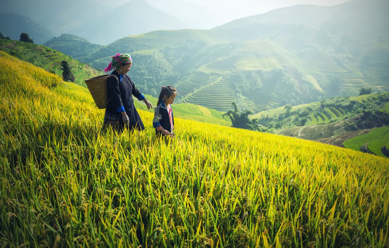 Photo wallpaper landscape, nature, harvest, family, figure, terrace