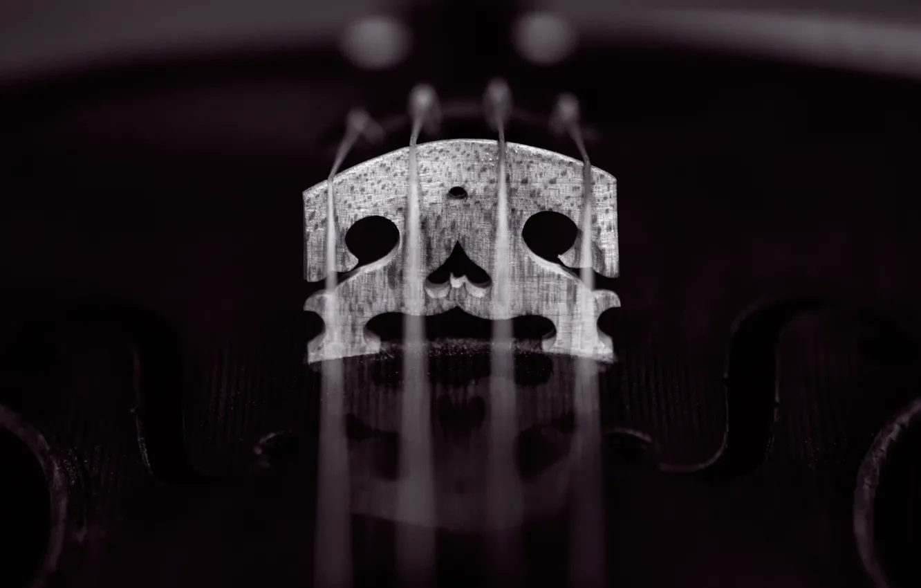 Photo wallpaper macro, violin, strings