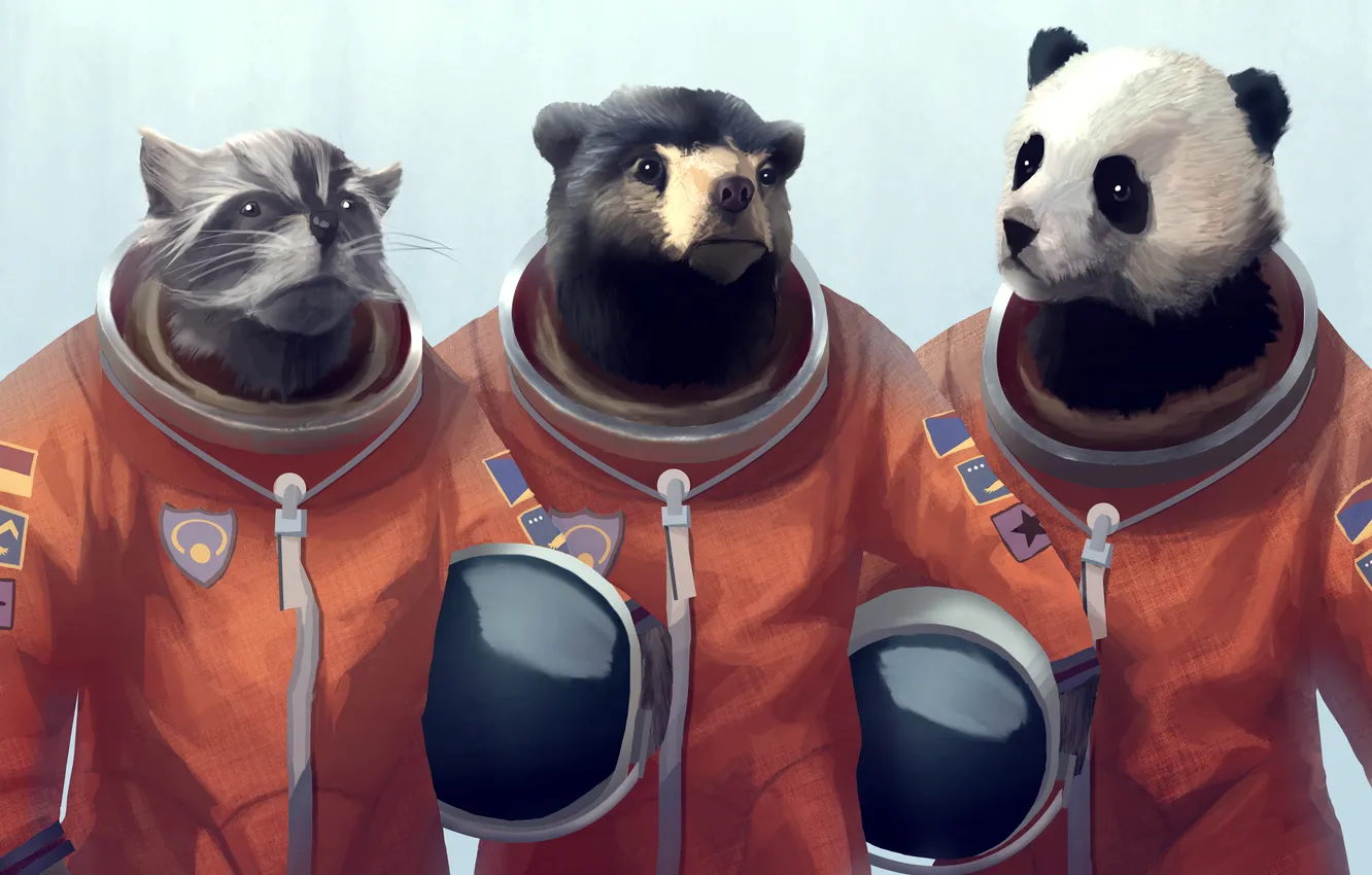 Photo wallpaper astronaut, bear, art, costume, Panda, raccoon, helmet, SPACE TEAM