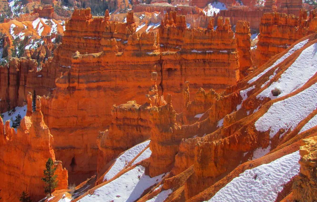 Photo wallpaper snow, mountains, tree, rocks, Utah, USA, Bryce Canyon National Park